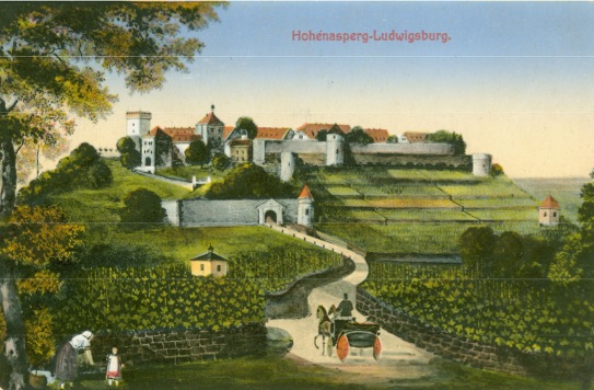 Farblithographie des Hohenaspergs mit Weinberghäuschen und Weinreben