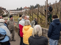 Wein aus Asperg